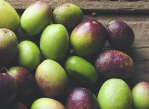 Read more about the article Integration Of The Oil Mills In The Finca